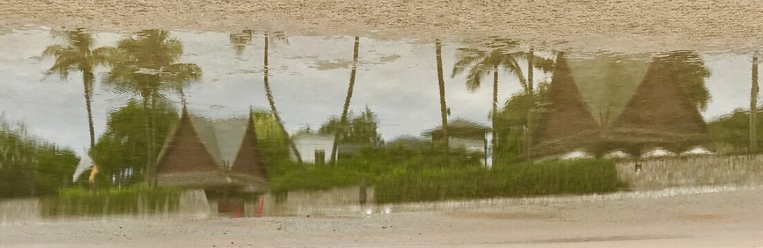 Hintergrundbild , Sandfarben , Gr&uuml;nt&ouml;ne , Spieglung , Palmen