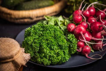 Curly Parsley and Radish