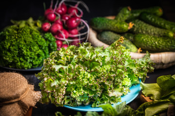 Fresh green salad leaves