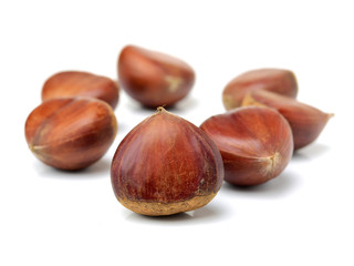 Sweet chestnut on white background