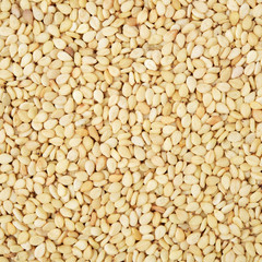 sesame background