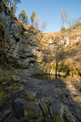 A summer green sunny forest with many rocks on the ground