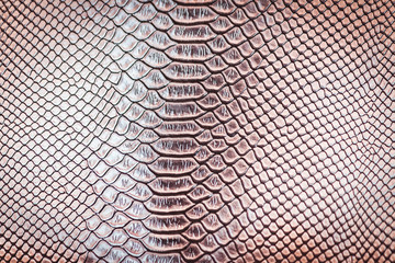 skin leather texture