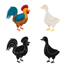 Vector illustration of breeding and kitchen  logo. Set of breeding and organic  vector icon for stock.