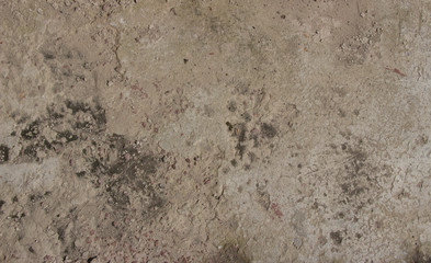 Backgrounds are different, such as: sackcloth, brick wall, paving tiles, sack, burlap