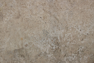 Backgrounds are different, such as: sackcloth, brick wall, paving tiles, sack, burlap