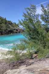 private island indian ocean beach