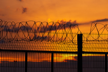 Spiny fence on the background of a fiery, bright sunset