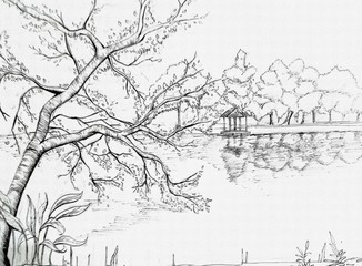 Fototapeta premium landscape with trees