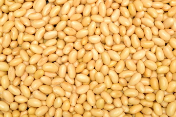 soybean background