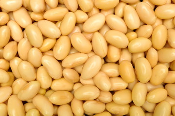 soybean background