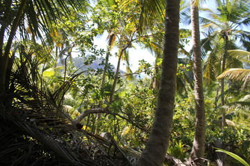 private island indian ocean beach