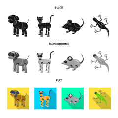 Vector design of toy and science icon. Collection of toy and toy stock symbol for web.