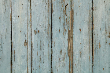Wood texture. A fence of small boards with a large background.
