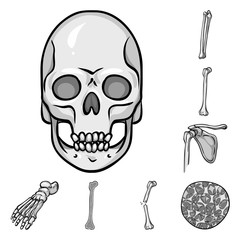 Vector illustration of biology and medical symbol. Set of biology and skeleton stock vector illustration.