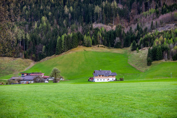 Alps mountain range landscape with beautiful greenery 