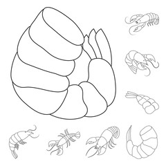 Vector design of food  and sea symbol. Set of food  and animal  stock vector illustration.