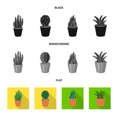 Isolated object of cactus and pot icon. Collection of cactus and cacti stock symbol for web.