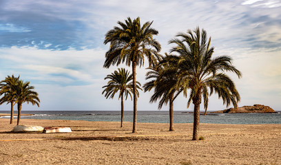 Beautiful beach scene with palm trees, calm ocean and distant island in the horizon.