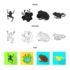 Isolated object of wildlife and bog icon. Set of wildlife and reptile stock symbol for web.