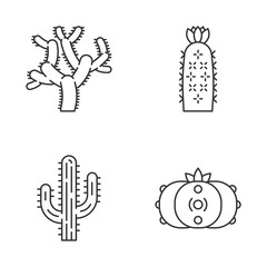 Wild cacti linear icons set
