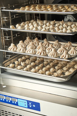 Industrial freezer. Professional kitchen equipment.Shock freezing. 