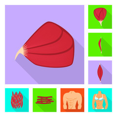 Vector illustration of muscle and cells icon. Collection of muscle and anatomy stock vector illustration.
