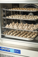 Industrial freezer. Professional kitchen equipment.Shock freezing. 