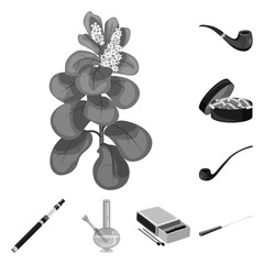 Isolated object of health and nicotine logo. Collection of health and statistics stock symbol for web.