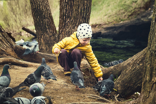 Boy feeding birds (pigeons) in the parc