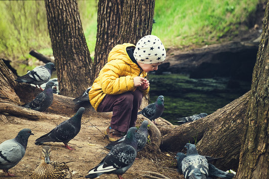 Boy feeding birds (pigeons) in the parc
