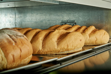 Industrial electric oven for catering with set food