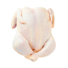 Whole uncooked chiken  on white background.