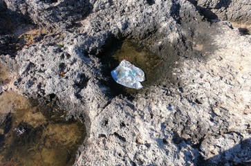 plastica su scogliera incontaminata -isola di lampedusa-