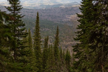 чемал, катунь