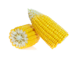 Corn on white background