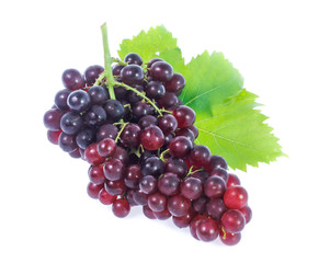 red grapes  isolated on white