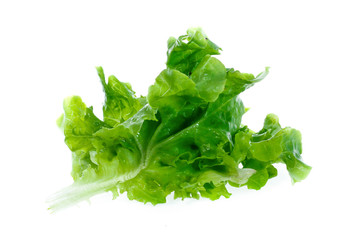 Fresh lettuce leaves isolated on white background