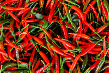 red chili