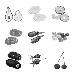 Vector design of vitamin  and nature  sign. Collection of vitamin  and dried  stock symbol for web.