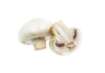 Mushroom champignon isolated on white background