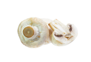 Mushroom champignon isolated on white background