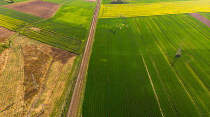 Obraz premium Aerial view of a land with sown green fields in countryside in spring day
