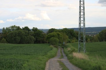 Obraz premium Way into the valley through hedges and trees