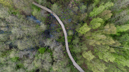 Aerial view of curly footpath in forest
