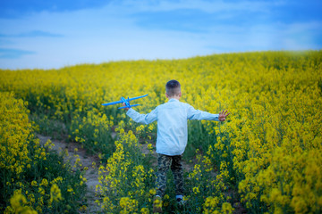 Cute child walking in the yellow field on a sunny summer day. Boy starts paper plane. Back view