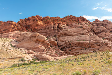 Fototapeta premium red rocks in the desert