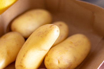 Group of fresh raw small potatoes in the kitchen 