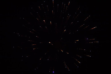 Firework in the night sky with abstract background.