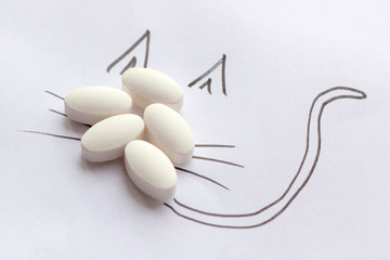 White pharmaceutical pills with cat picture around. Veterinary treatment and medication, animal pharmacy, pet health care and medicine concept.